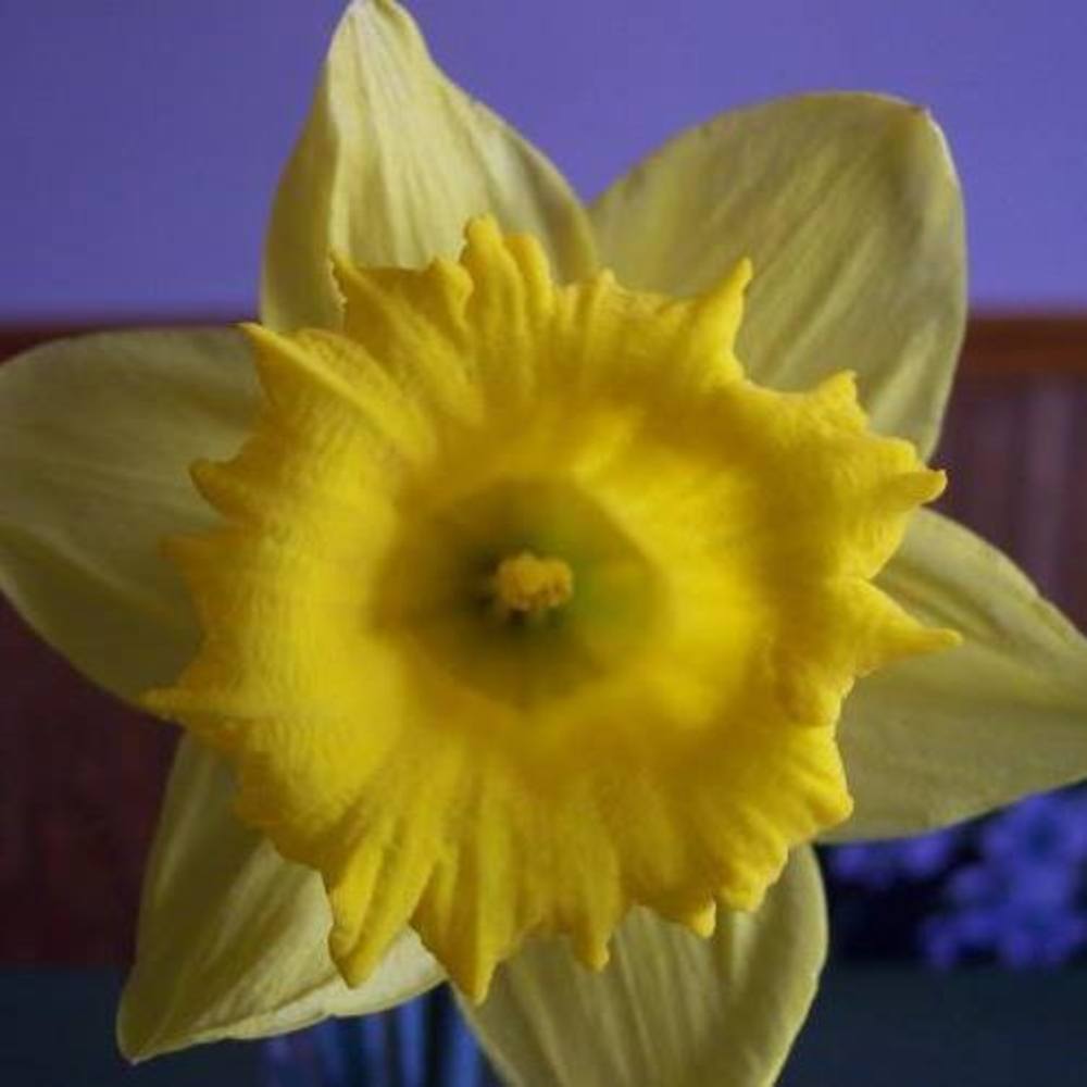 Meet your Posher, Angie